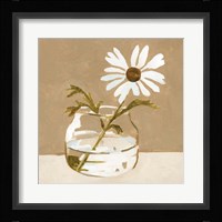 Solitary Daisy II Framed Print