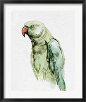 Bright Parrot Portrait I Fine Art Print