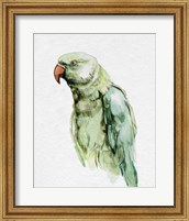 Bright Parrot Portrait I Fine Art Print