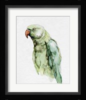 Bright Parrot Portrait I Fine Art Print