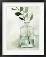 Eucalyptus Branch Still Life I Framed Print