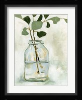 Eucalyptus Branch Still Life II Framed Print