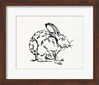 Resting Hare II Fine Art Print