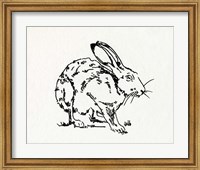 Resting Hare II Fine Art Print