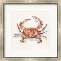 Crusty Crab I Fine Art Print
