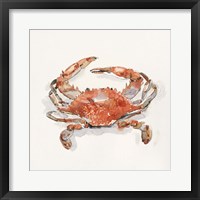 Crusty Crab II Fine Art Print