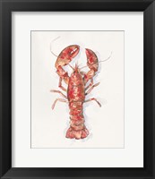 Salty Lobster I Fine Art Print