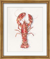 Salty Lobster I Fine Art Print