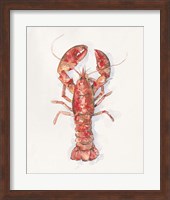 Salty Lobster I Fine Art Print