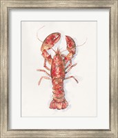Salty Lobster I Fine Art Print