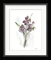 Plum Bouquet I Framed Print