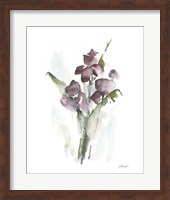 Plum Bouquet I Fine Art Print