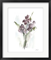 Plum Bouquet I Fine Art Print