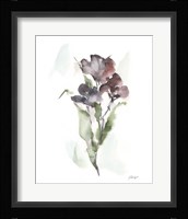 Plum Bouquet II Framed Print