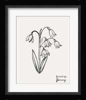 Annual Flowers I Fine Art Print