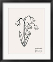 Annual Flowers I Framed Print