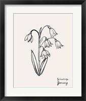 Annual Flowers I Framed Print