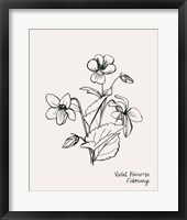 Annual Flowers II Framed Print