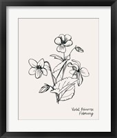 Annual Flowers II Framed Print