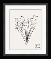 Annual Flowers III Framed Print