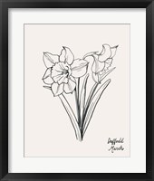 Annual Flowers III Framed Print