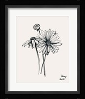 Annual Flowers IV Framed Print