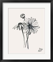 Annual Flowers IV Framed Print