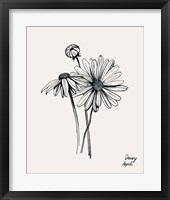 Annual Flowers IV Framed Print