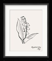 Annual Flowers V Framed Print