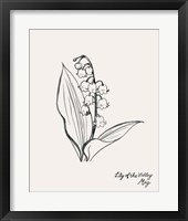 Annual Flowers V Framed Print