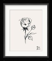 Annual Flowers VI Framed Print
