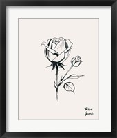 Annual Flowers VI Framed Print