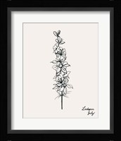 Annual Flowers VII Framed Print