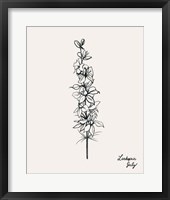 Annual Flowers VII Framed Print