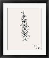Annual Flowers VII Framed Print