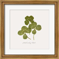 Pressed Clover II Fine Art Print