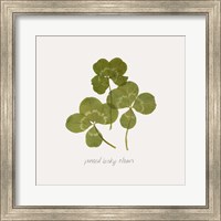 Pressed Clover II Fine Art Print