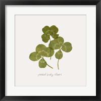 Pressed Clover II Framed Print