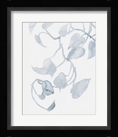 Pothos Penumbra II Framed Print