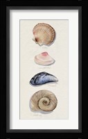 Shore Things I Framed Print