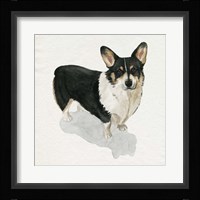 Pup for the Queen I Framed Print