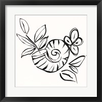 Shell Scrawl I Framed Print