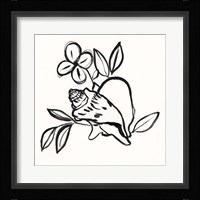 Shell Scrawl II Framed Print