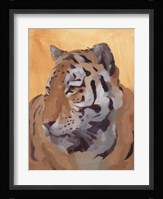Lord of the Jungle II Framed Print