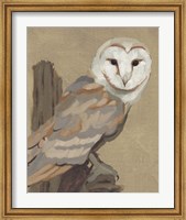Common Barn Owl Portrait I Fine Art Print