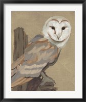 Common Barn Owl Portrait I Fine Art Print