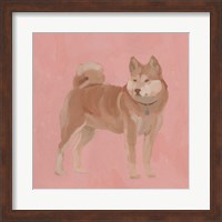 Shiba Inu I Fine Art Print