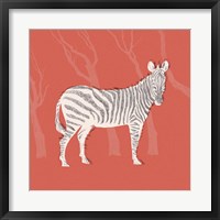 Plains Zebra I Fine Art Print