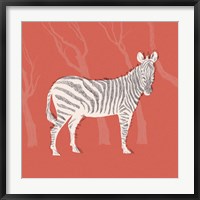 Plains Zebra I Fine Art Print