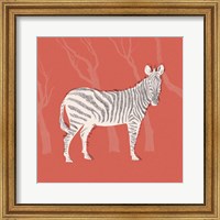 Plains Zebra I Fine Art Print